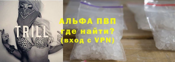 дживик Козельск