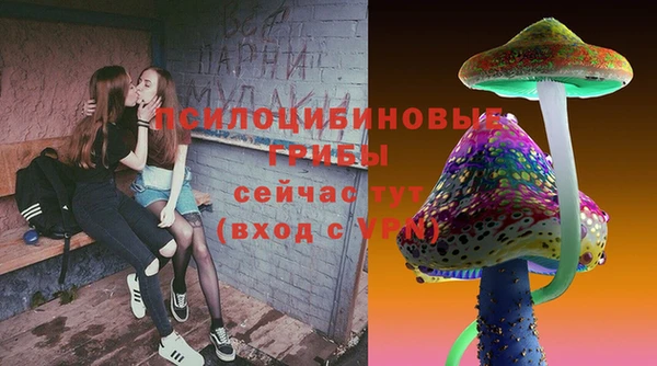 сатива Козловка