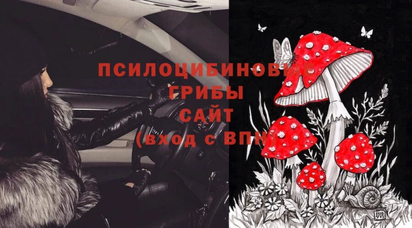 сатива Козловка