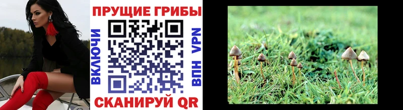 Псилоцибиновые грибы ЛСД  Купить где  Малмыж 